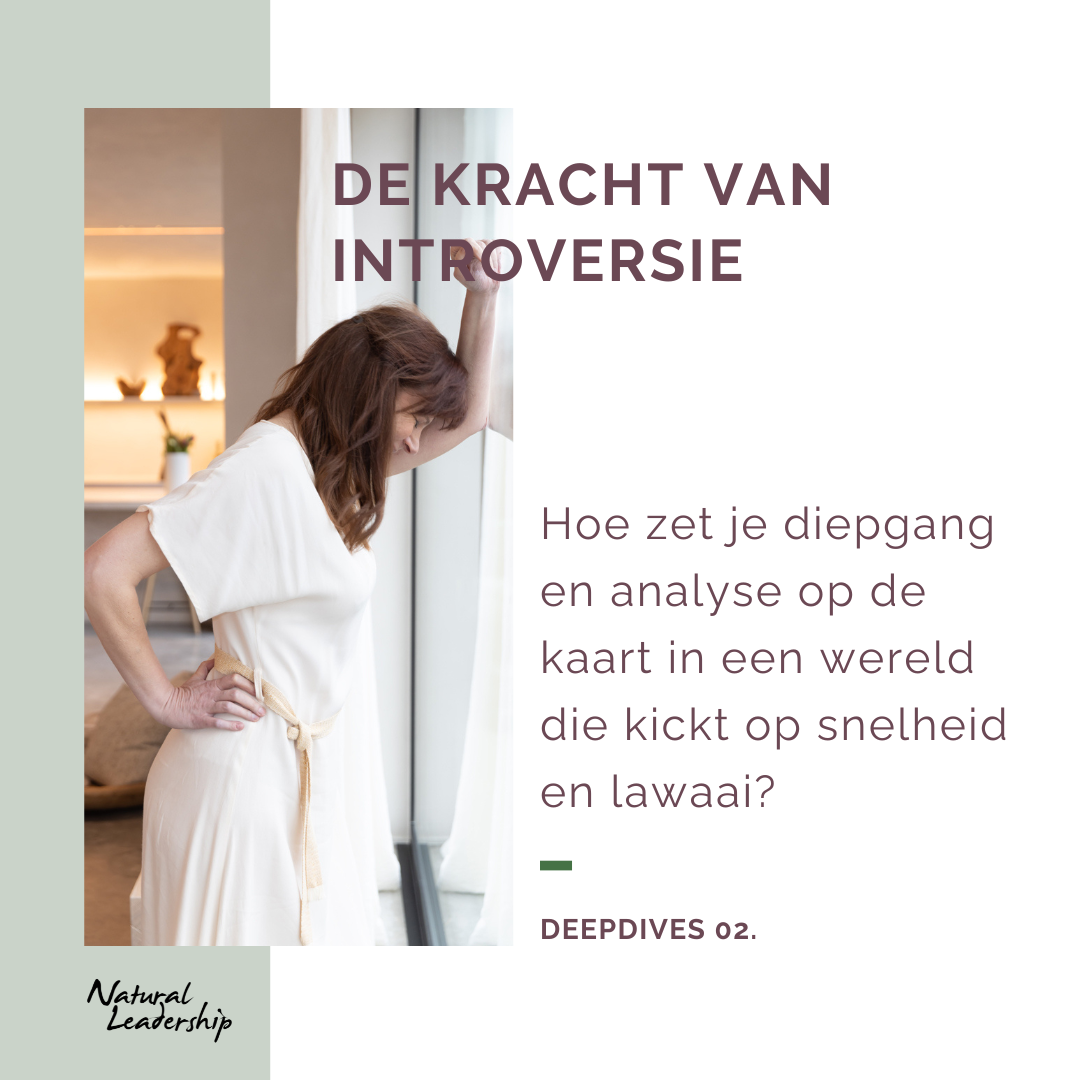 Download de kracht van introversie - Natural Leadership