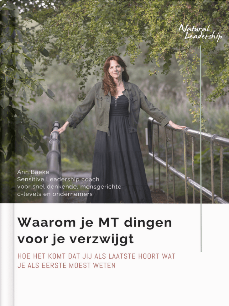 Ebook voor CEO's en ondernemers Ebook voor CEO's en ondernemers